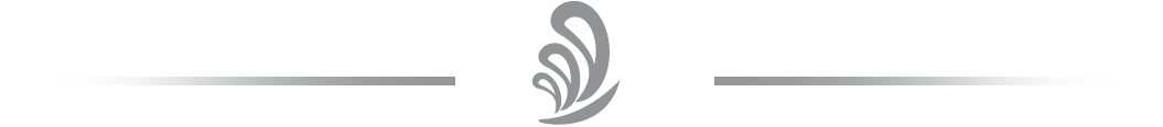Softmode Logo